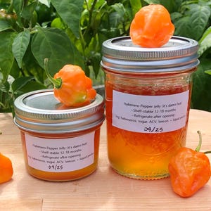 May include: Two glass jars of habanero pepper jelly with metal lids, alongside fresh orange habanero peppers. The jars have labels with text. The jelly is a vibrant orange color. The background features green foliage.