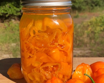 Organic Pickled Habanero pepper slices 16oz jar, habanero peppers, pepper lover gift