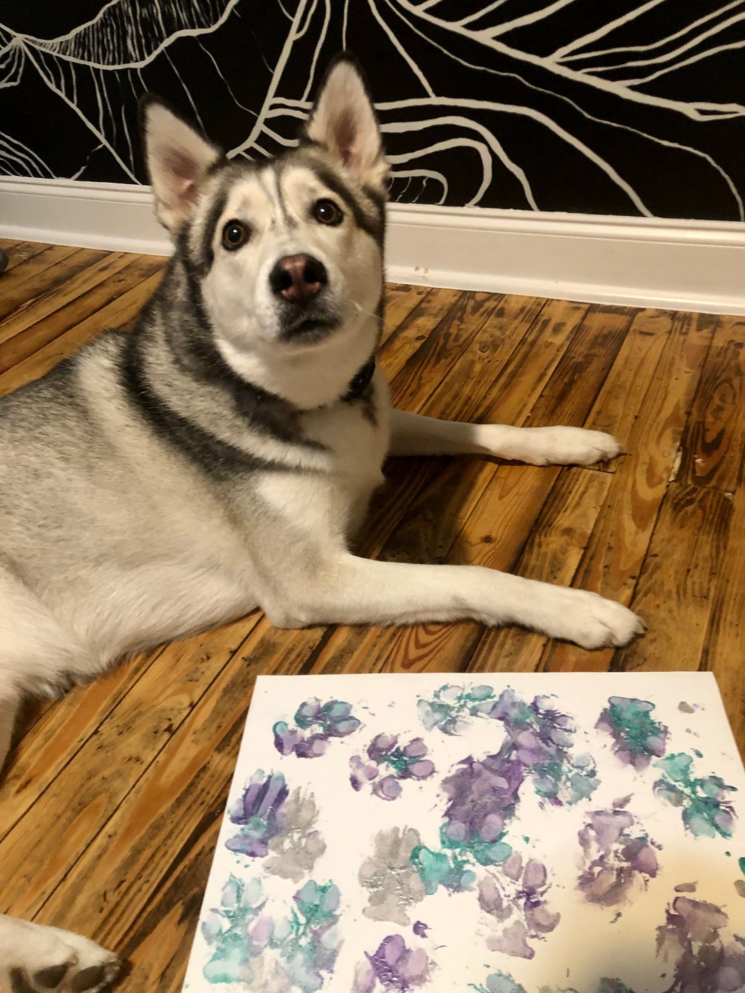 Husky Art, Husky Paw Prints, Husky Painting, Siberian Husky Picture ...
