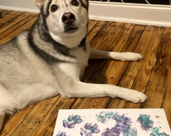 Op de afbeelding: Een grijze en witte husky ligt op een houten vloer met zijn poten geschilderd op een wit canvas. De voetafdrukken zijn paars, blauw en grijs.