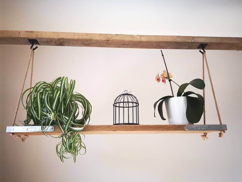 Étagère Suspendue Au Plafond Pour Plantes d'intérieur