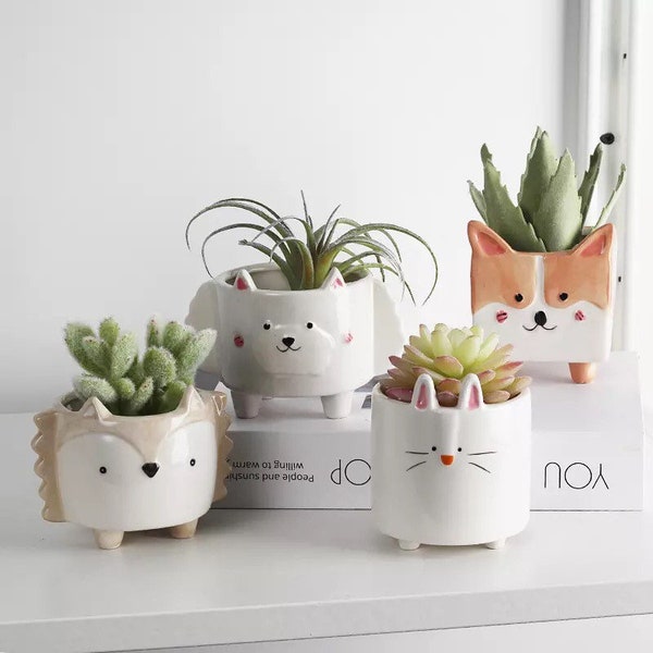 Small Cute Succulent pot | Cactus planter | Animal Pot | Ceramic planter | Gift