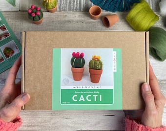 Naaldviltpakket - Cactussen - wolknutselproject voor beginners - creatief cadeau-idee - cactusliefhebber - knutselpakket voor volwassenen