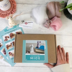 May include: A needle felting kit to make two fluffy mice. The kit includes wool in white, pink, and grey, felting needles, and instructions. The box is brown with a blue and white label that says "Learn to make two fluffy mice".