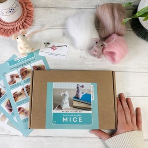 Needle Felting Kit - Mouse - Learn to make TWO cute mice. Craft kits for adults. A project for beginners and a creative gift idea.