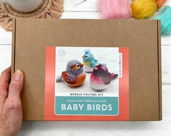 Needle felting kit - Baby Birds. Make three sweet little bird decorations with this beginner's craft kit for adults.