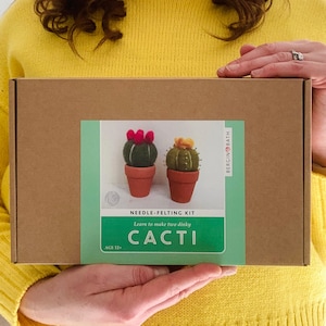 Needle felting kit Cacti wool craft project for beginners creative gift idea cactus lover craft kit for adults image 6