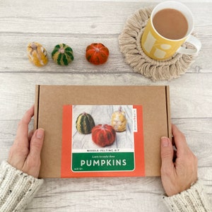 以下が含まれることがあります： 「Needle-Felting Kit Learn to make three Pumpkins Age 12+」と書かれたラベルが付いた茶色の箱。箱の中には、フェルトでできた3つのカボチャが入っています。カボチャは緑と黄色、オレンジと黄色、赤と黄色の3色です。箱は木製のテーブルの上に置かれています。
