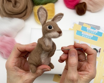 Needle Felted Easter Bunny kit. Craft kit for adults and teens. Learn how to make a felted rabbit. Easter gift.