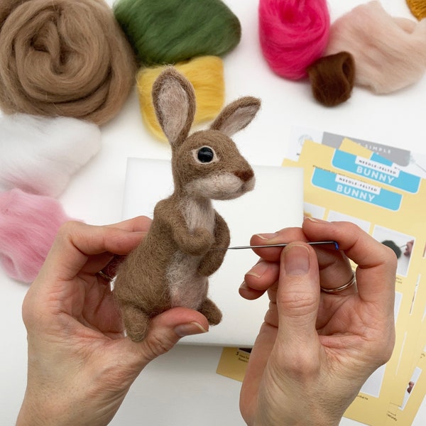 Needle Felted Easter Bunny kit. Craft kit for adults and teens. Learn how to make a felted rabbit. Easter gift.