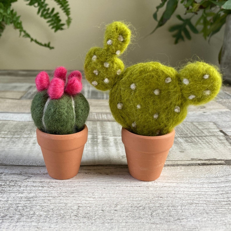 Needle felted cactus kit Learn to make two mini cacti from Etsy