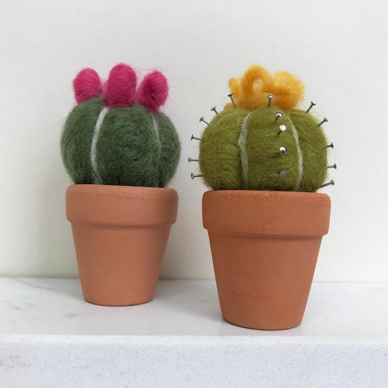 NeedleFelted Cacti Kit. Make your own dinky Cacti Etsy
