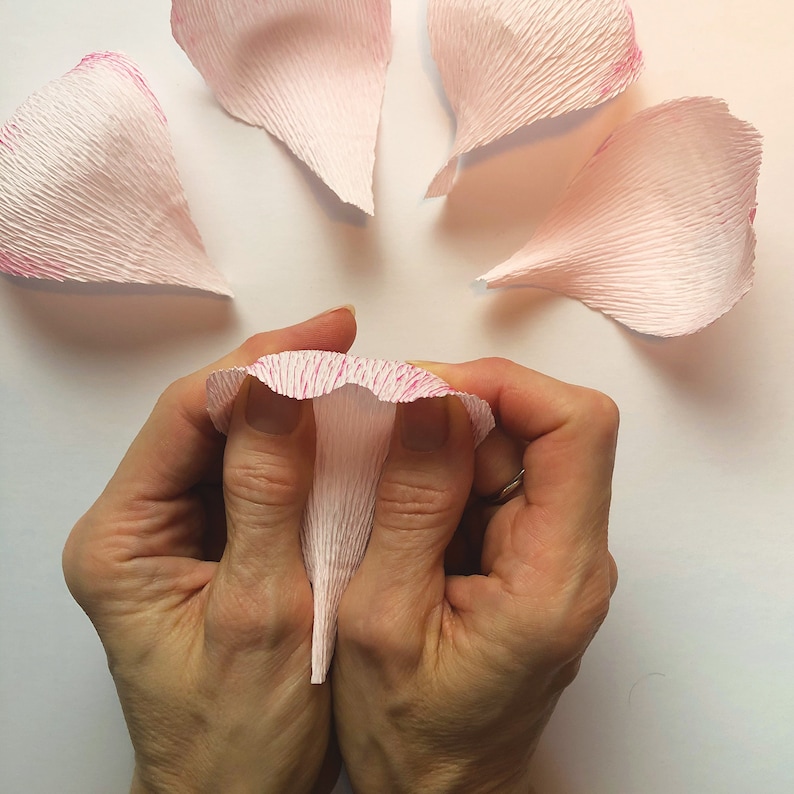 Paper Flower Kit Peony. Papercraft kit for women. A creative gift idea. image 6