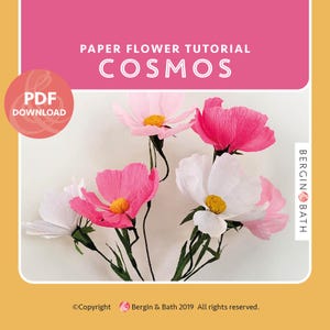 May include: A paper flower tutorial titled "Cosmos" with a pink and white design. The image features several handmade cosmos flowers in shades of pink and white with yellow centers. The words "PDF Download" are also visible.