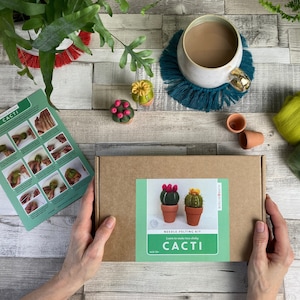 Needle felting kit Cacti wool craft project for beginners creative gift idea cactus lover craft kit for adults image 10