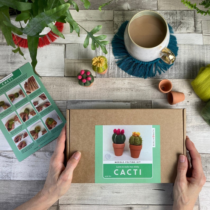 Needle felting kit Cacti wool craft project for beginners creative gift idea cactus lover craft kit for adults image 10