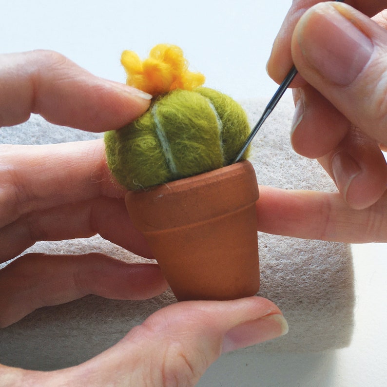 Needle felting kit Cacti wool craft project for beginners creative gift idea cactus lover craft kit for adults image 8