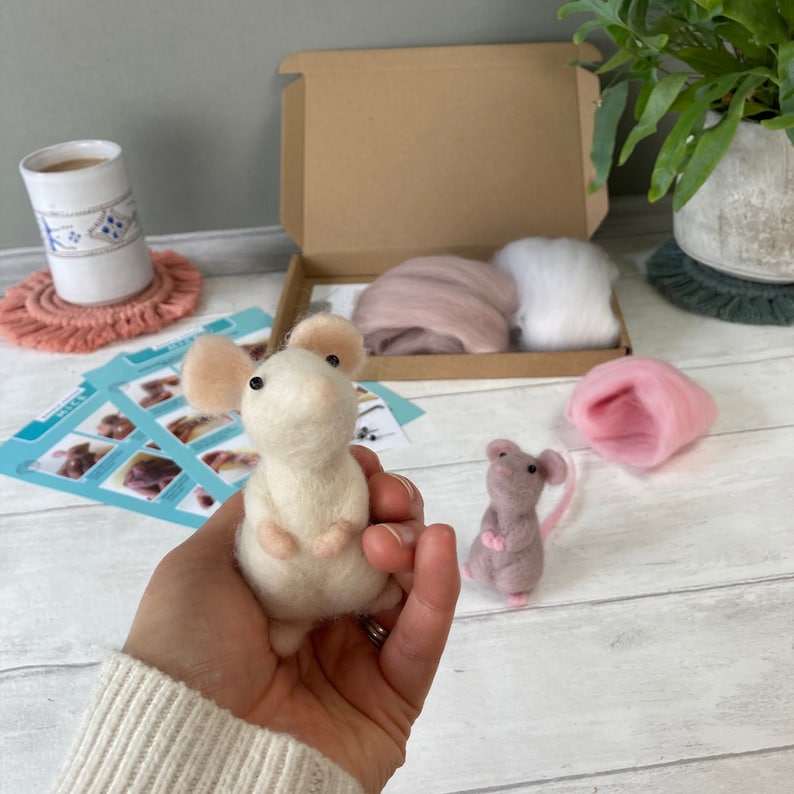 Needle Felting Kit Mouse Learn to Make TWO Cute Mice Etsy