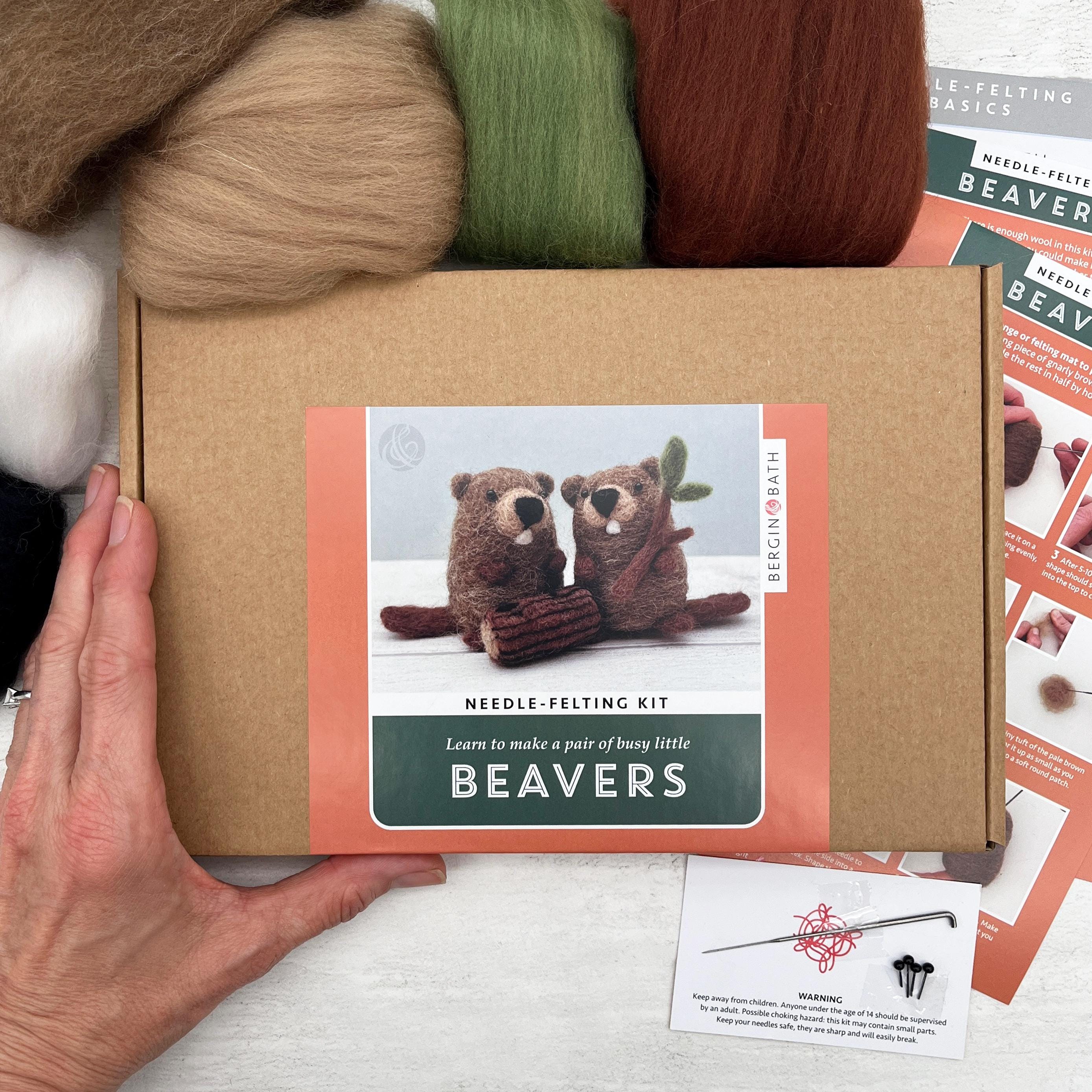 Needle Felting Kit: Beaver Pair, Craft Kit for Beginners - Etsy