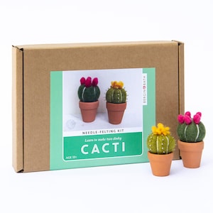 Needle felting kit Cacti wool craft project for beginners creative gift idea cactus lover craft kit for adults Kit only