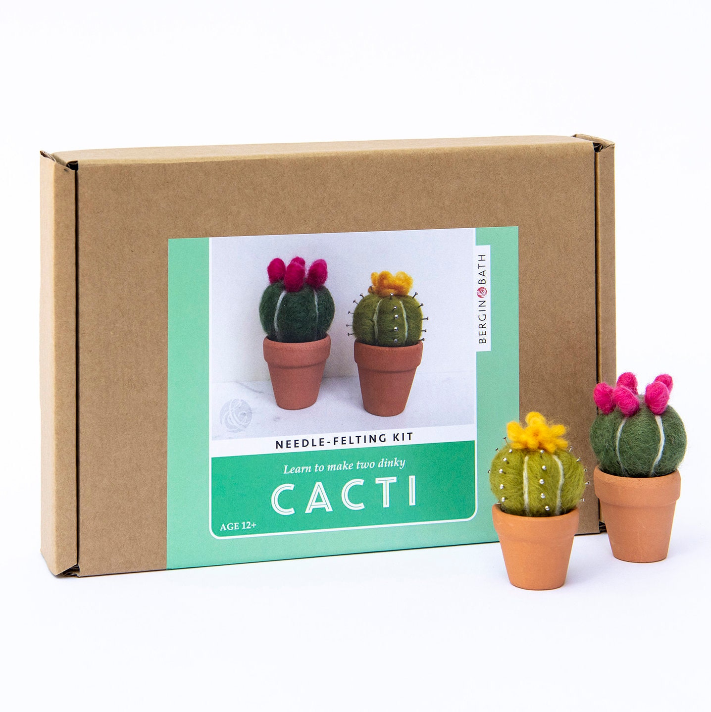 Felting Kit Cacti Craft Project for Beginners - Etsy