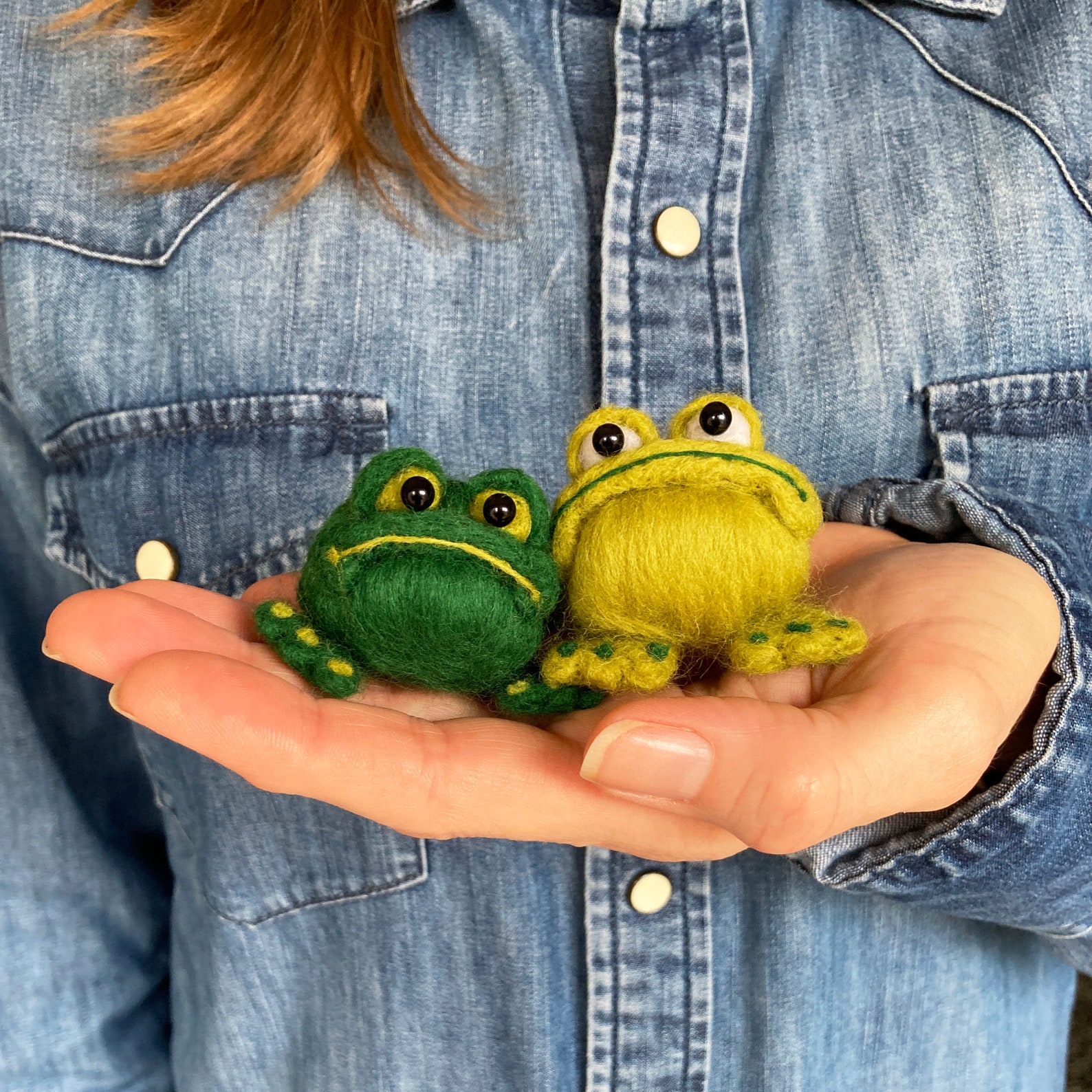 Needle felting kit Frogs Create these two funny frogs from Etsy