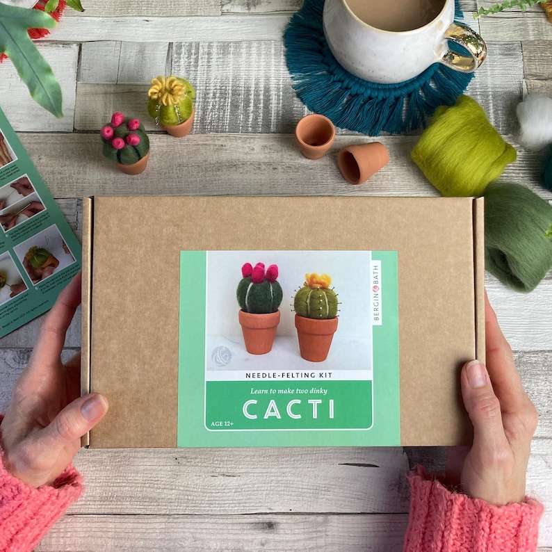 Needle felting kit Cacti wool craft project for beginners creative gift idea cactus lover craft kit for adults image 1