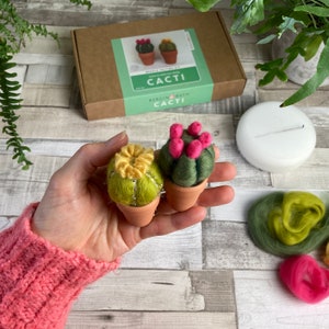 Needle felting kit Cacti wool craft project for beginners creative gift idea cactus lover craft kit for adults image 5