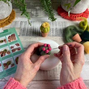 Needle felting kit Cacti wool craft project for beginners creative gift idea cactus lover craft kit for adults Kit and mat