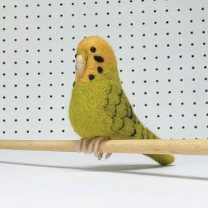 Needle felting Kit Budgie. Beginners craft kit for adults. Make your own wool felt budgerigar. DIY Needlefelted bird