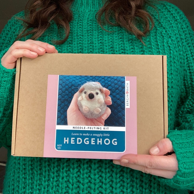 Needle Felting kit, Hedgehog, Beginners, creative gift idea Kit only