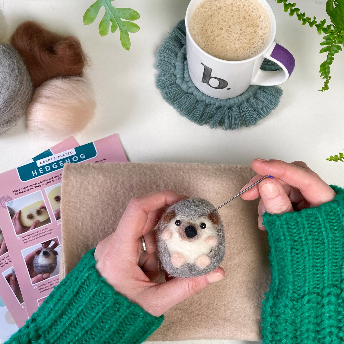 Needle Felted Hedgehog kit craft kits for adults student Etsy
