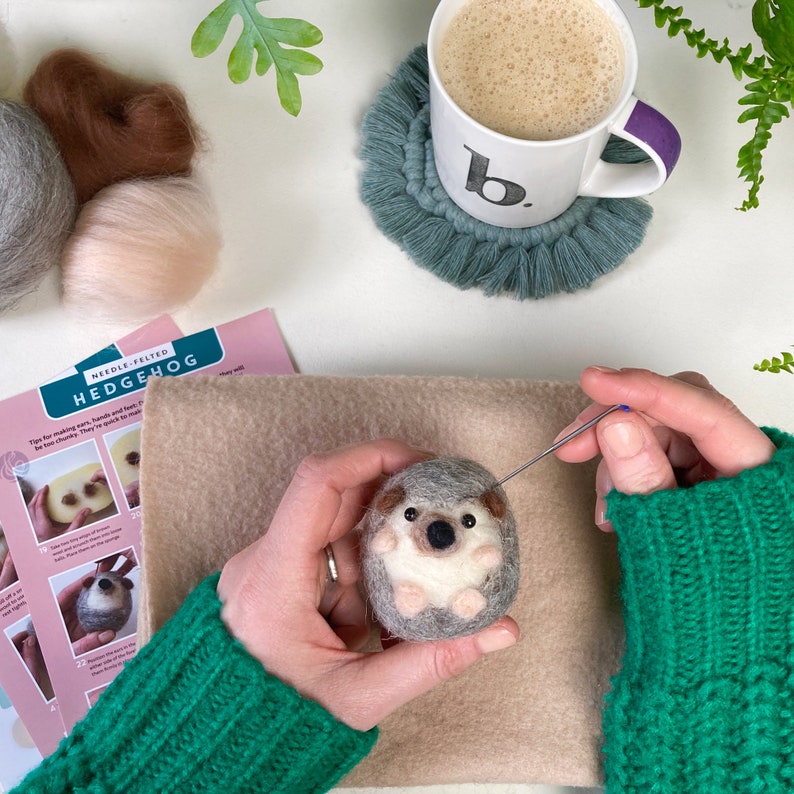 Needle Felting kit, Hedgehog, Beginners, creative gift idea image 8