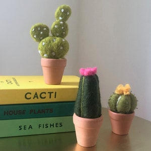 Needle felting kit Cacti wool craft project for beginners creative gift idea cactus lover craft kit for adults image 4
