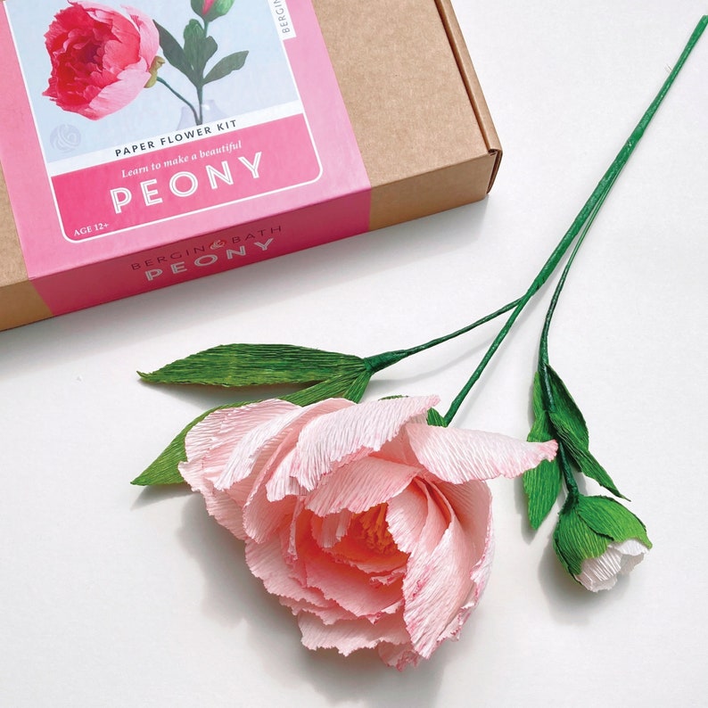 Paper Flower Kit Peony. Papercraft kit for women. A creative gift idea. image 4