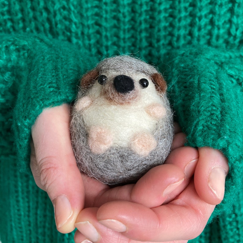 Needle Felting kit, Hedgehog, Beginners, creative gift idea image 7