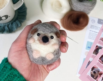Needle Felting kit, Hedgehog, Beginners, creative gift idea