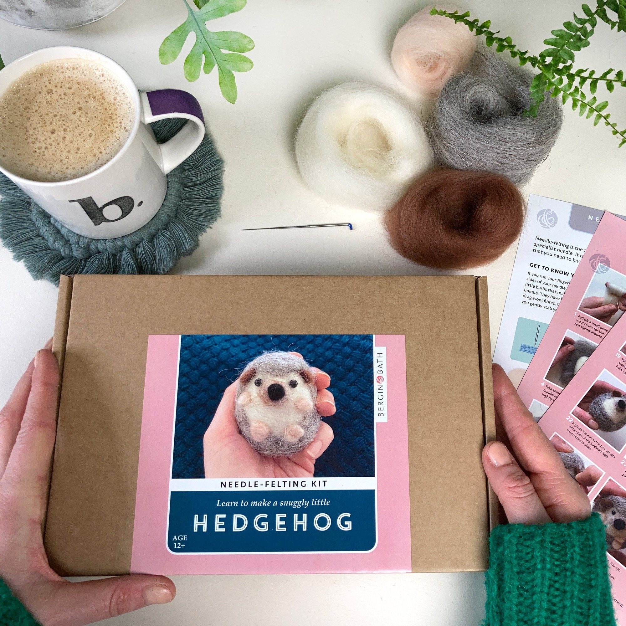 Needle Felted Hedgehog kit craft kits for adults student Etsy