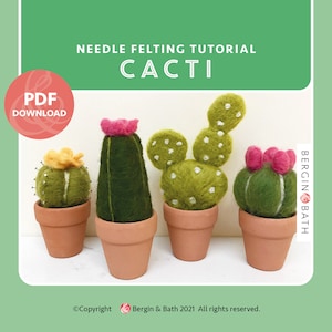 PDF pattern. Needle felted cacti tutorial. Instant download
