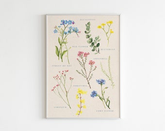 Botanical Prints