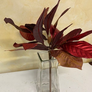 Glitter Magnolia Red Bush