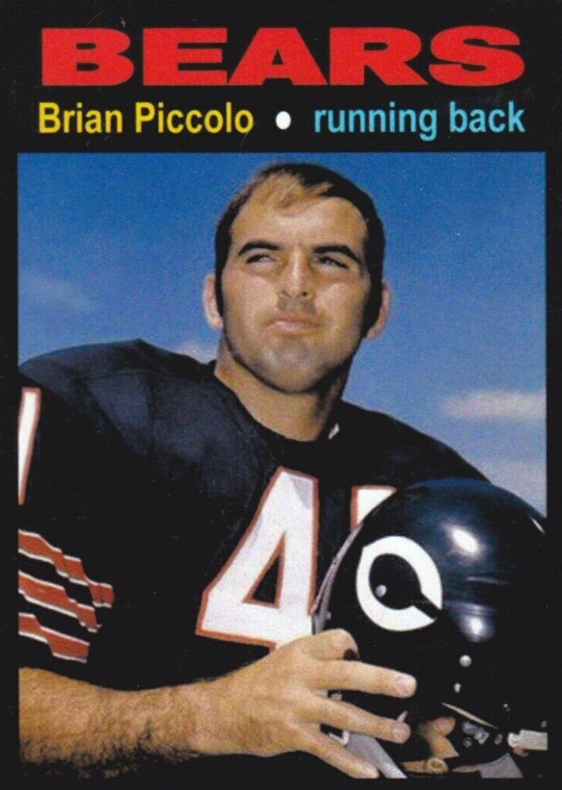 James Caan Authentic Signed Chicago Bears Brian Piccolo Jersey Etsy
