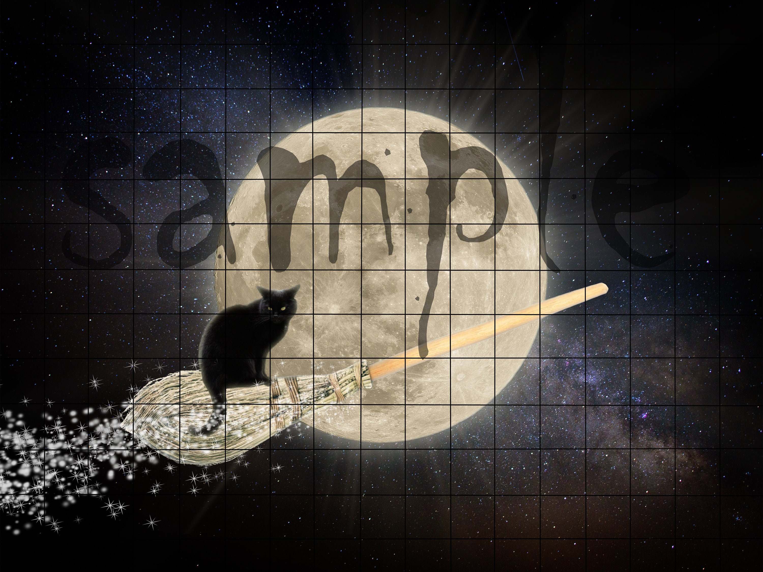 Witch on Broomstick With Black Cat Flying Past the Moon Digital ...