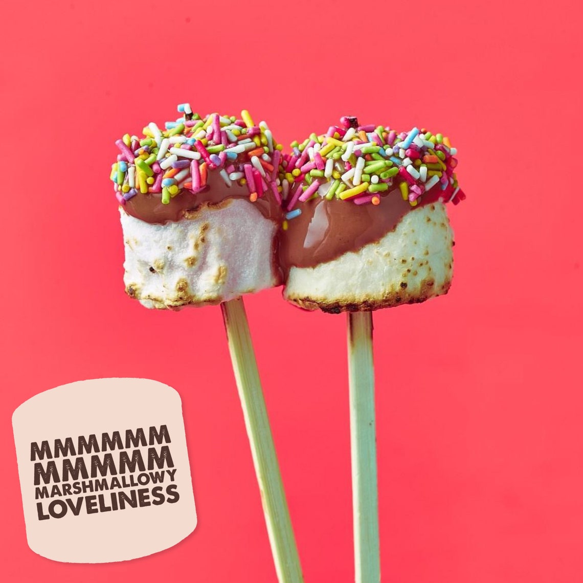 Medium Summer Marshmallow Toast & Dip Kit Etsy