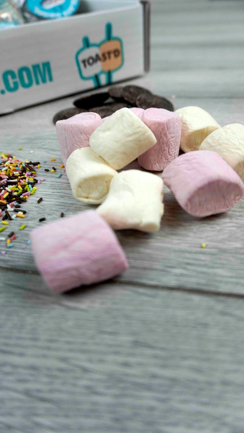 Free From Marshmallow Toasting Kit: Vegan, Gluten & Dairy Free image 8