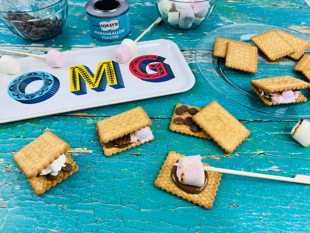 Large S'mores Kit Makes 15 Luxury S'mores Birthday Etsy UK