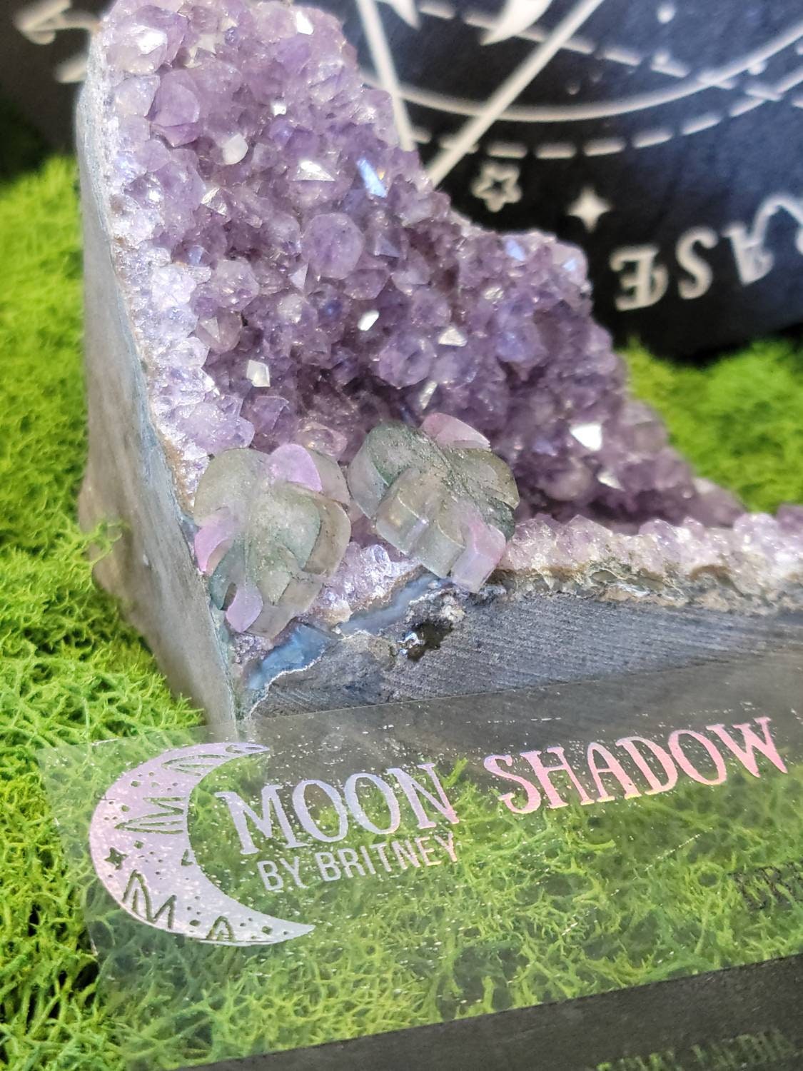 Pink Princess Philodendron Miss Piggy Monstera Inspired Resin Etsy