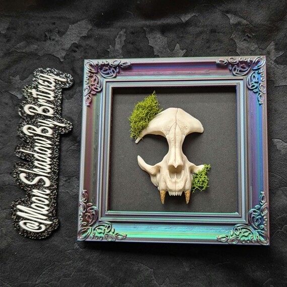 Large Faux Cat Skull Taxidermy Art | Framed Art | Horror Home