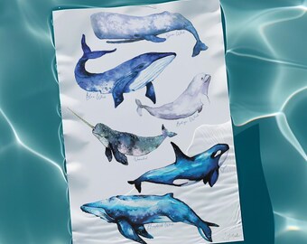 Whale Watercolour Art Print / Animal Painting / Wall art poster / Home decor