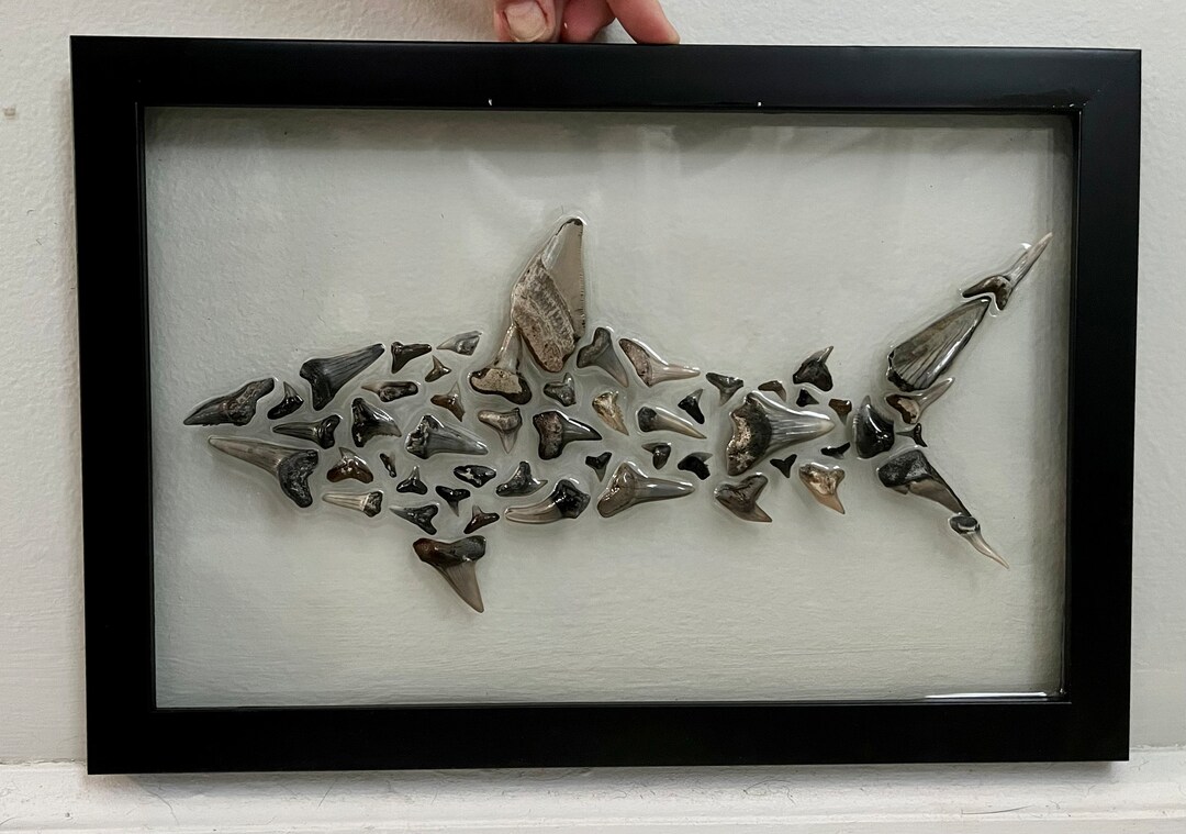 Shark Tooth Art in Resin Etsy